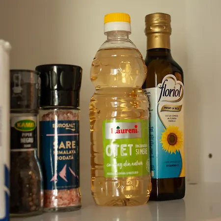 Horizon Apartmán Temešvár