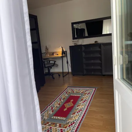 Horizon Timisoara
