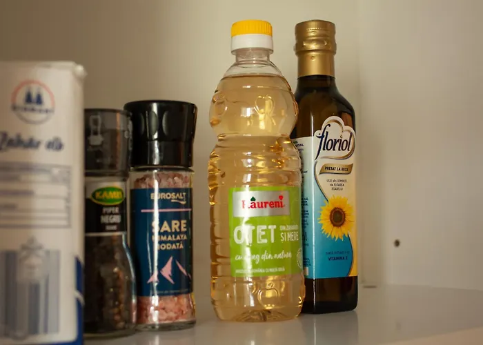 Horizon 아파트 티미쇼아라