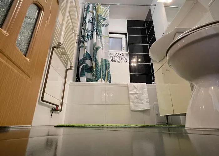 Horizon * 티미쇼아라